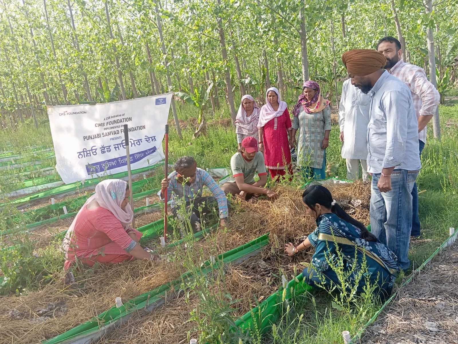 Participants learning vermicompost preparation in a field workshop